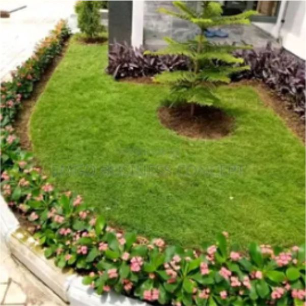 Nigerian gardeners landscaping a property